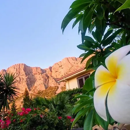 Oda ve Kahvaltı Ciuri Ri Zagara